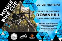 Mouse Bike Cup | Downhill   27-28 